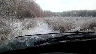 На Ниве по лесу.