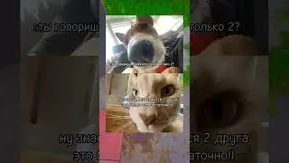 всю жизнь💗💕❤‍🩹