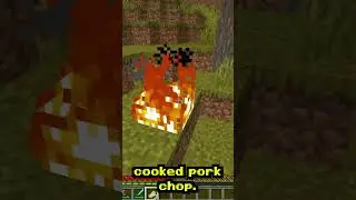 Quickest Way to Cook Meat in Minecraft