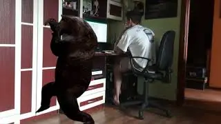 Хромакей в After Effects. Дополненная реальность.