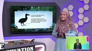 DidikTV Tahap II 2022 Ep 112 Science Dlp Year 6 Nature Preservation And Conservation