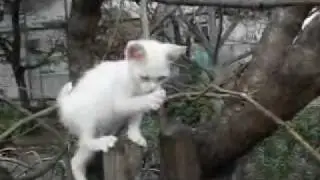Help! can't come down - 降りれない