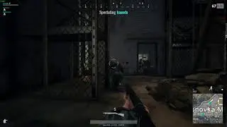 dogshit