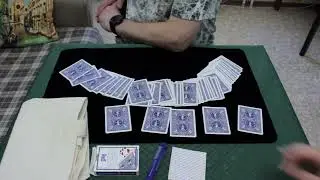 КОТ В МЕШКЕ (АНТИ ШУЛЕР №7)
