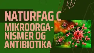 Mikroorganismer, virus, bakterier og antibiotika