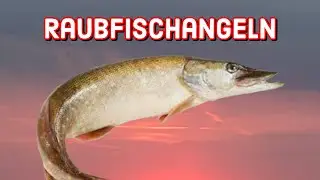 Was braucht man zum Raubfisch angeln? | Angeln auf Hochtour