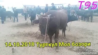 14.10.2018 Турткул Мол бозори