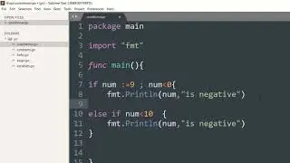 If Else example program in Go programming language Tutorial