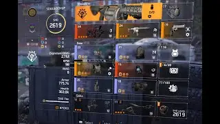 Hard Wire Skill Build ( The division 2 )