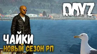 НОВЫЙ СЕЗОН РП - НОВЫЕ ЧАЙКИ (Проклятая Земля) | DayZ 1.06