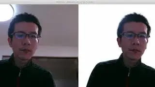 MODNet - WebCam-Based Portrait Video Matting Demo 512x672