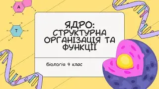 Біологія 9 клас  Ядро структурна організація та функції