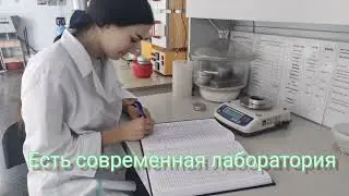 Качество семян