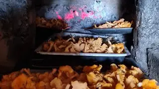 Тихая охота в лесу и Совином Доле, русская печка и вынужденное затворничество