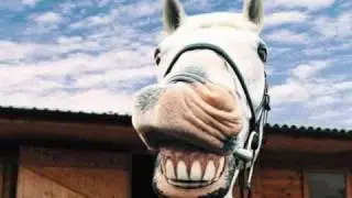 Amazing Horse (Metal Version)