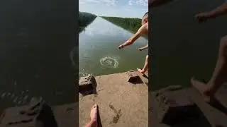 ТЕЛЕГРАМ В ШАПКЕ ПРОФИЛЯ ➡️
