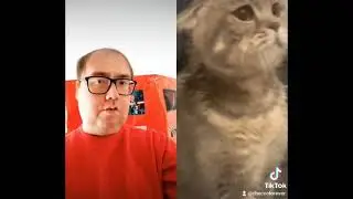 io e il Gatto
