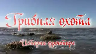Грибная охота