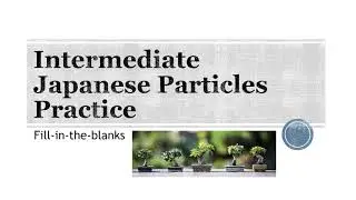 Intermediate Japanese Particles Practice: Fill-in-the-Blanks