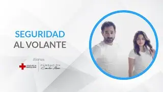 Seguridad al Volante