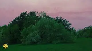 Mi Vagyunk Azahriah - Teaser