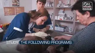 STUDY IN RUSSIA - RACUS. Saint Petersburg State University of Veterinary Medicine