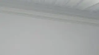 Singer Türkiye canlı yayında