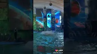 Likke prank