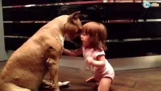 Funny Kids and animals Videos Compilation 2015 - Fluffies!