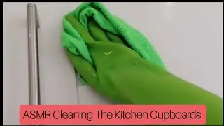 ASMR Household Cleaning The Kitchen Cupboards