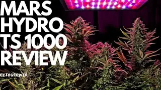 MARS HYDRO TS1000 REVIEW