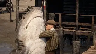 You , Sir , Are A Shark !