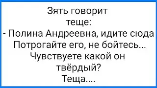 Зять Предложил Теще Потрогать и Охи-Вздохи!!! Смешная Подборка Анекдотов!!!