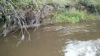 Стадии старения мужчин