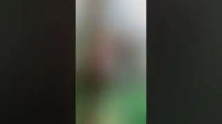 Высотный город в Питерлэнд спб