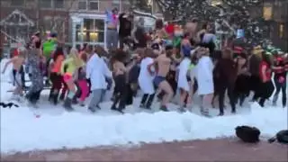 HARLEM SHAKE NAKED compilation !!!
