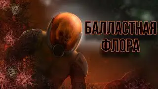 BAROTRAUMA УСТАВНОЙ ГАЙД НА БАЛЛАСТНУЮ ФЛОРУ | ЭИК РП