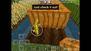 Minecraft basic farming guide