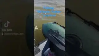 Гибрид 