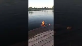 Самые лучшие караси.