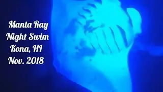 Night Swimming with Manta Rays! Kona Hawaii November 2018