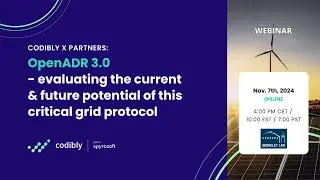 Webinar: OpenADR 3.0 - evaluating the current and future potential of this protocol