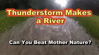 Can You Beat Mother Nature?