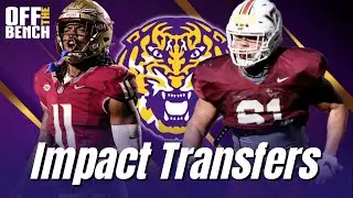 LSU Adds IMMEDIATE STARTERS From Transfer Portal! | Safety Still HUGE NEED For Brian Kelly!!