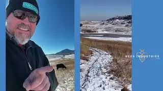 Me and Coyote Hiking Flatirons Vista in Colorado