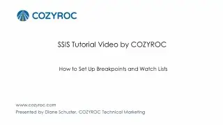 How to Set Up a Breakpoint and a Watch List. #SSIS tutorials by COZYROC
