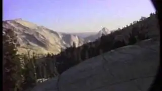 Wilbur's Travels Redwood Forest Thru San Francisco Part 8