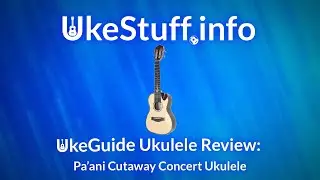 UkeGuide Ukulele Review: Pa’ani Cutaway Concert Ukulele