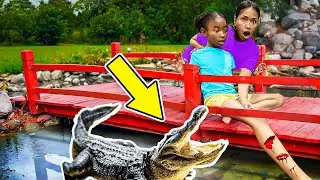 AVA Got BIT by an ALLIGATOR! Will she be okay