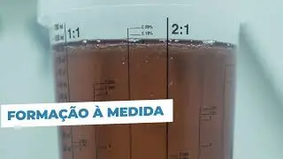 Academia PIEP
